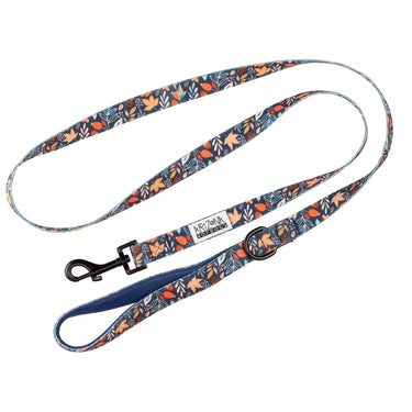 Laisse Nylon pour chien - Fall in Love